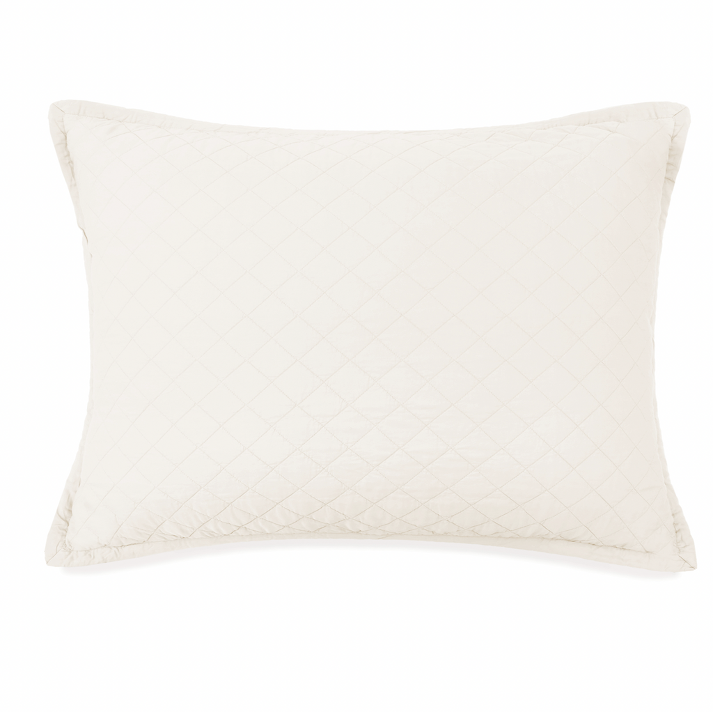 Monaco Big Pillow 28 X 36 With Insert - 4 colors