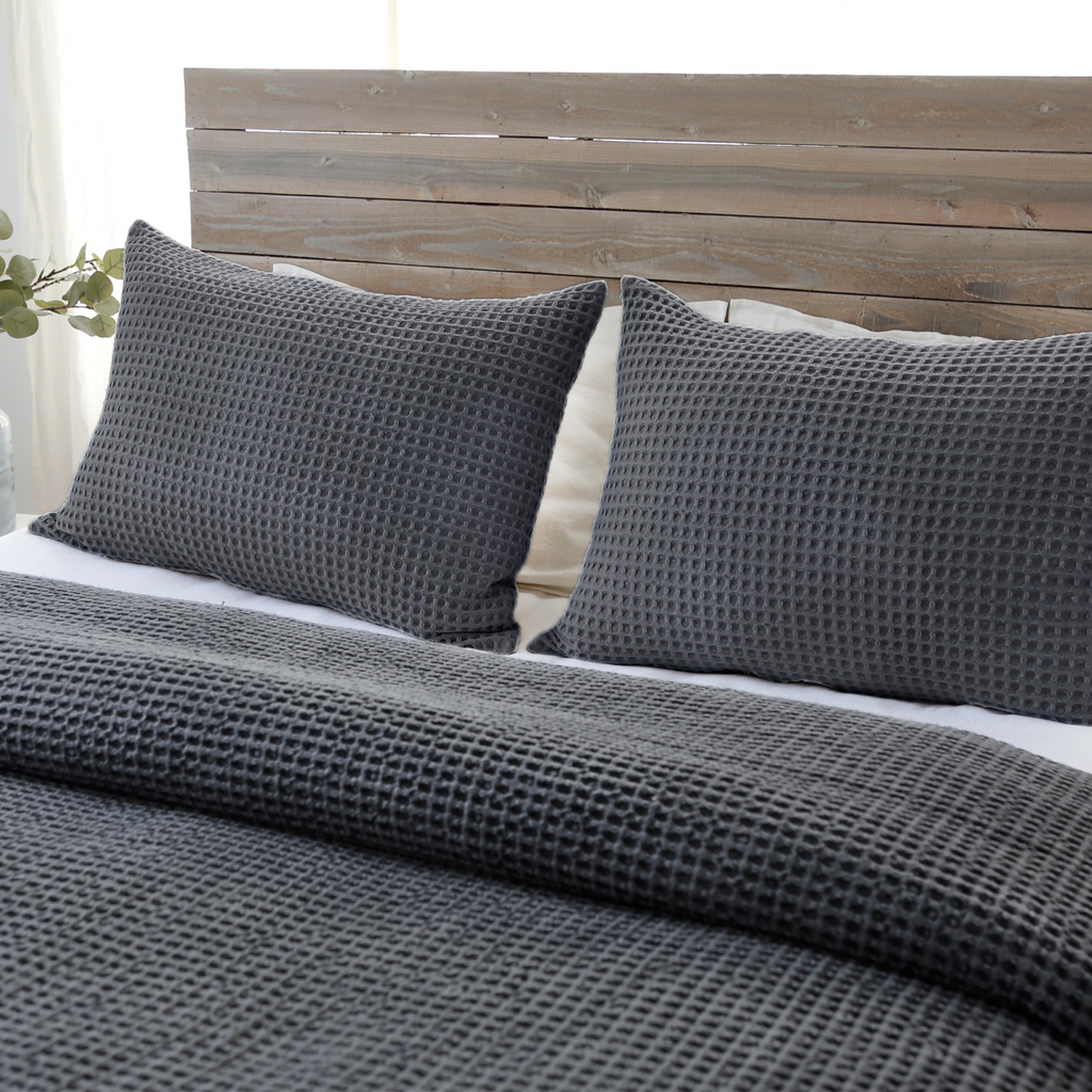 Zuma Big Pillow 28 X 36 With Insert - 3 colors