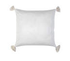Bianca 20 X 20 Pillow With Insert - 5 colors