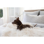 June Body Pillow With Insert