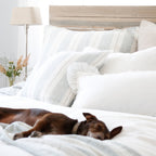 Laguna Big Pillow 28 X 36 With Insert - 2 colors