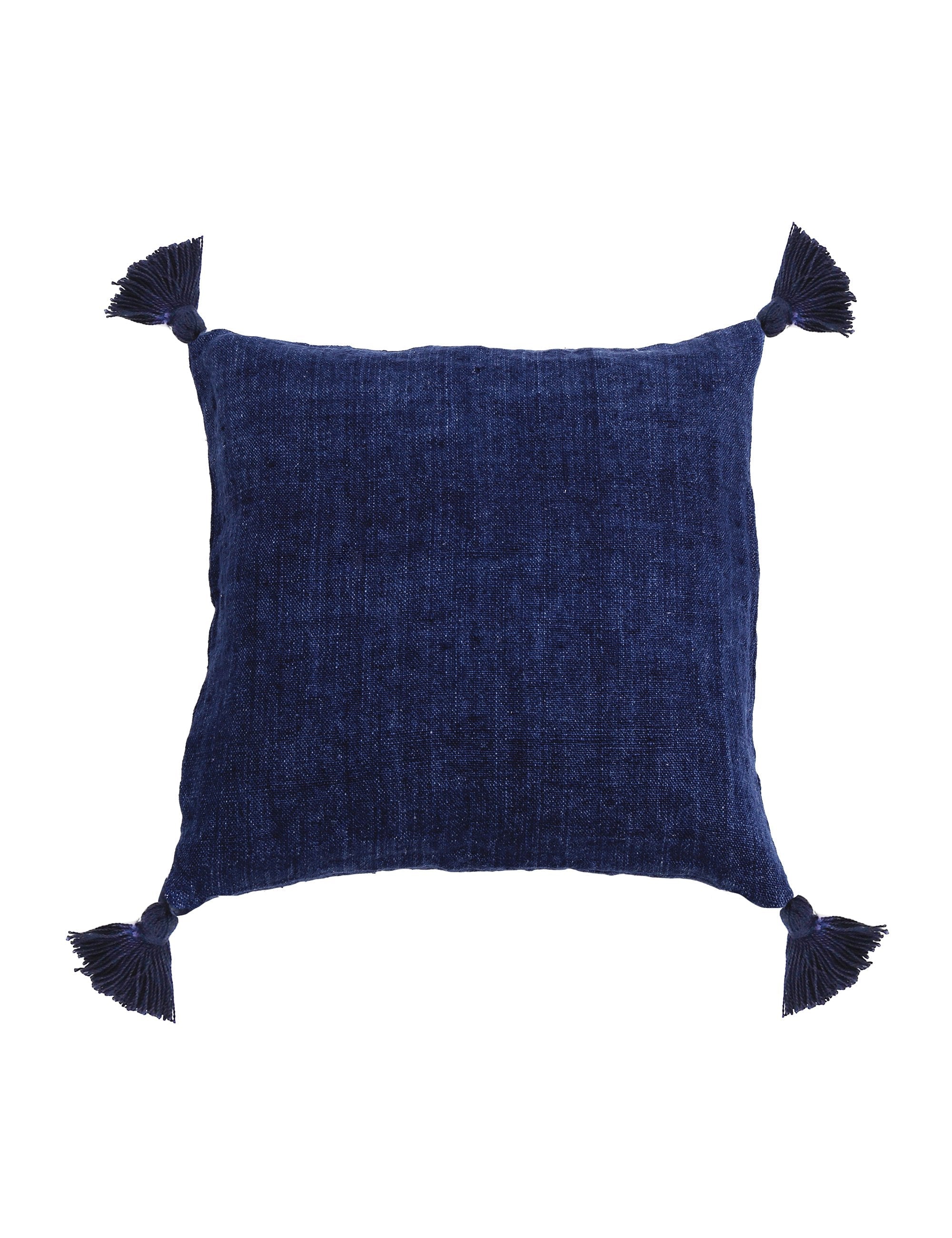 Montauk 20 X 20 Tassel Pillow With Insert