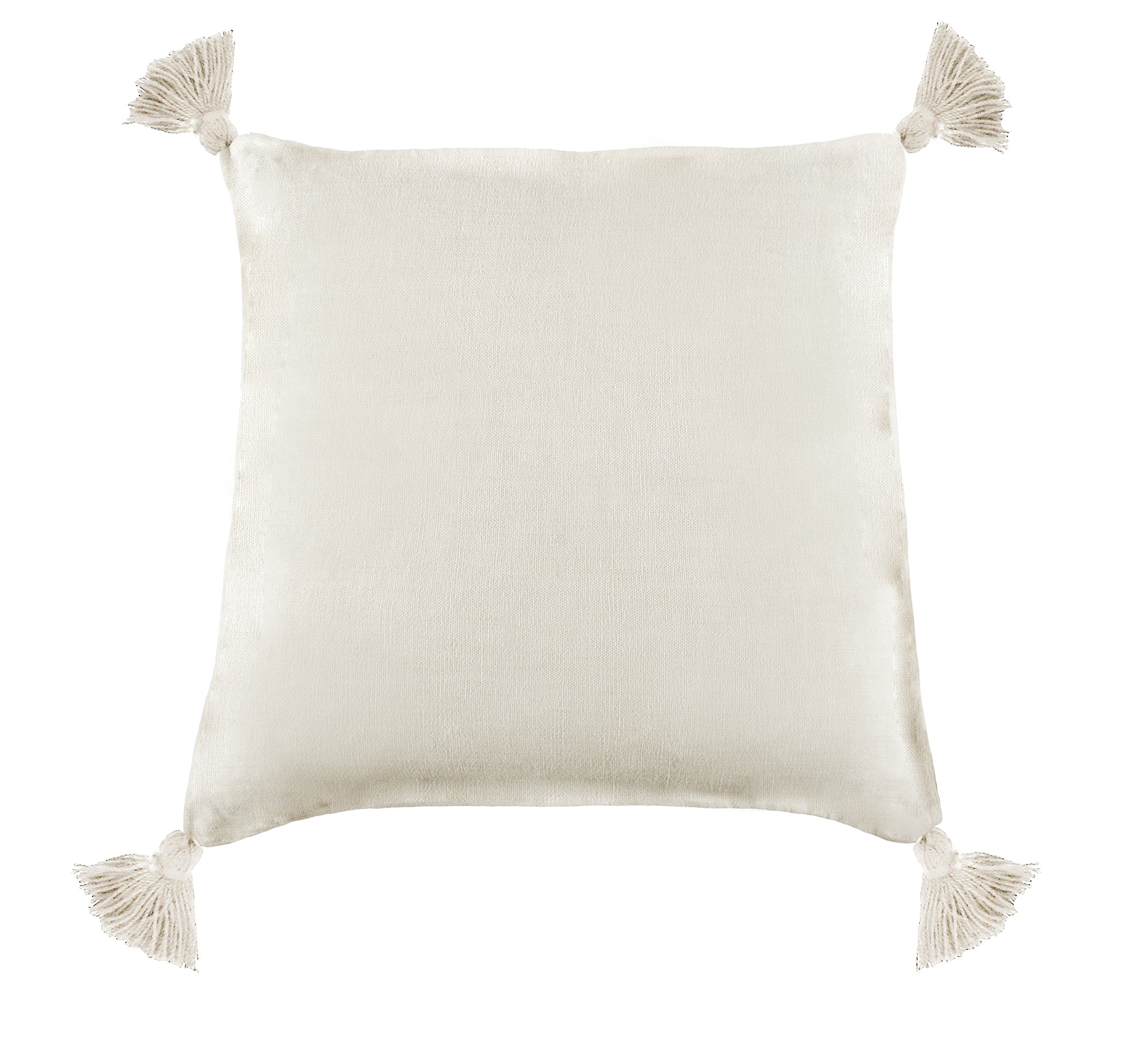 Montauk 20 X 20 Tassel Pillow With Insert