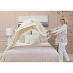 Murphy 20 X 20 Pillow With Insert - 5 colors