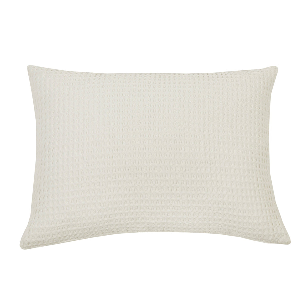 Zuma Big Pillow 28 X 36 With Insert - 3 colors