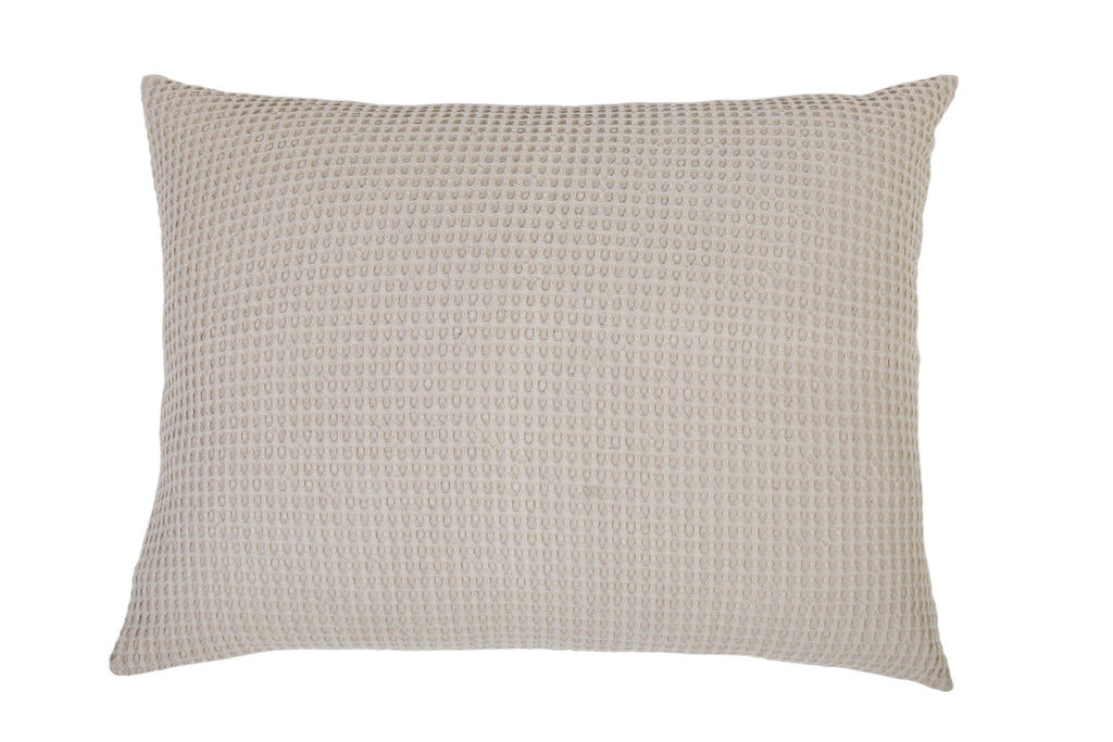 Zuma Big Pillow 28 X 36 With Insert - 3 colors